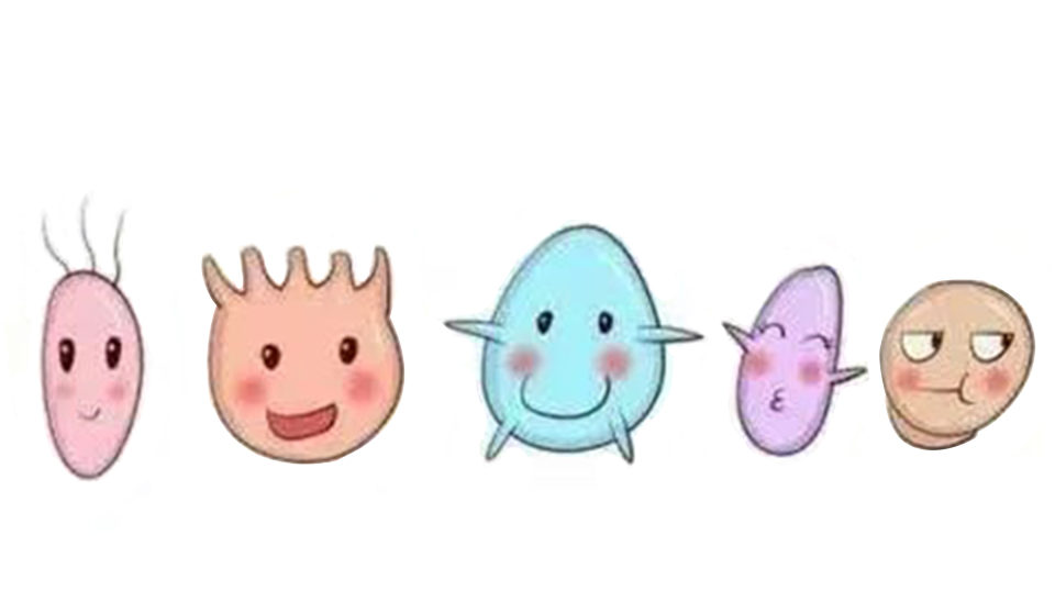 益生菌認識誤區